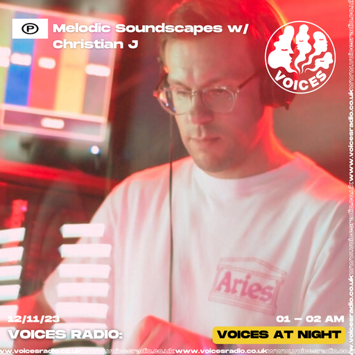 Melodic Soundscapes - Voices at Night - 11/11/23
