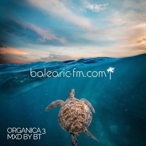 Organic Mix (003) (BigT)