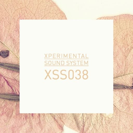 Xperimental Sound System: XSS038 / Cubo