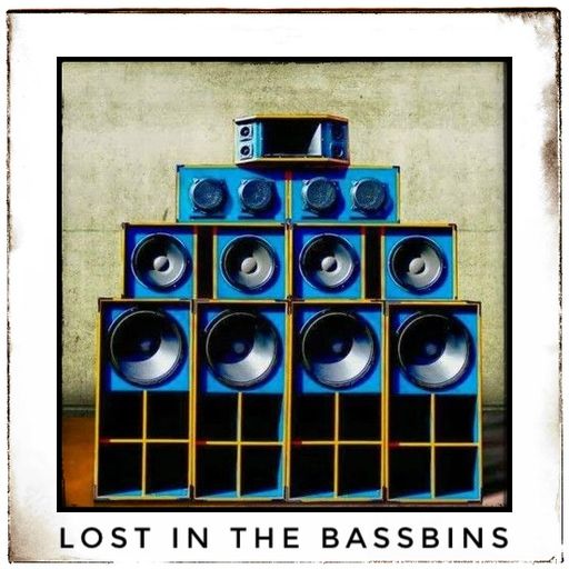 Lost in the Bassbins May19