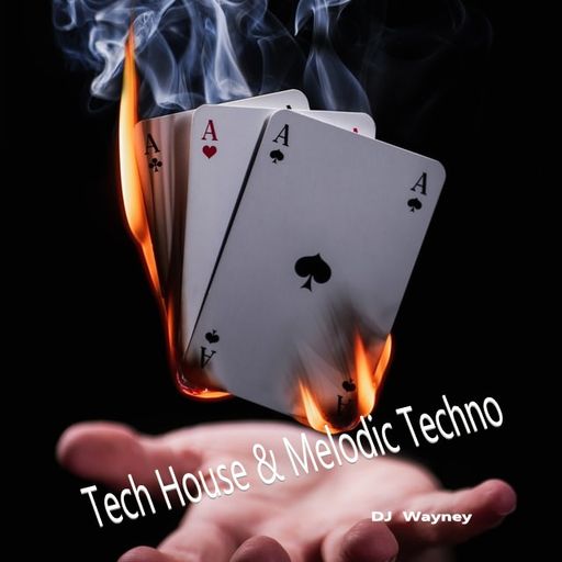 Tech House & Melodic Techno mix