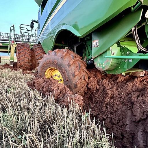 SNZ - 12th January 2026