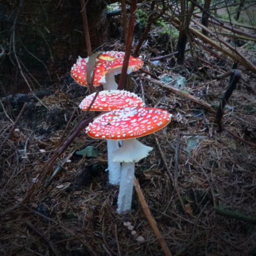 Keri's Kitchen 674FM 17.10.22 : AUTUMN