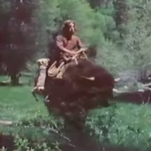 Guy on a Buffalo