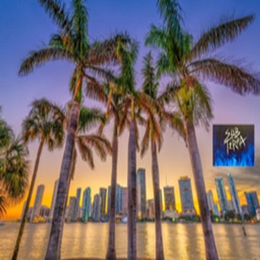 Sub-Terra Sessions Vol: 21 Live from Miami (Tropical Winter)