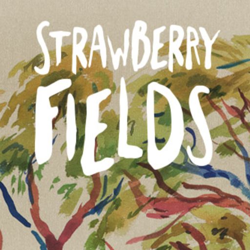 Mr Scruff DJ Set from Strawberry Fields Festival, Tocumwal, NSW, Sat 18 November 2017