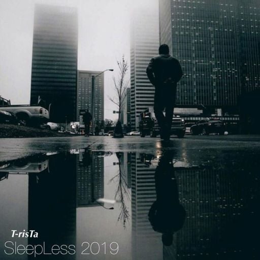 SleepLess 2019 | T-risTa's Deep Tech