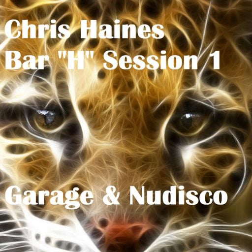 #1 - Bar H - Garage house with a Disco tip