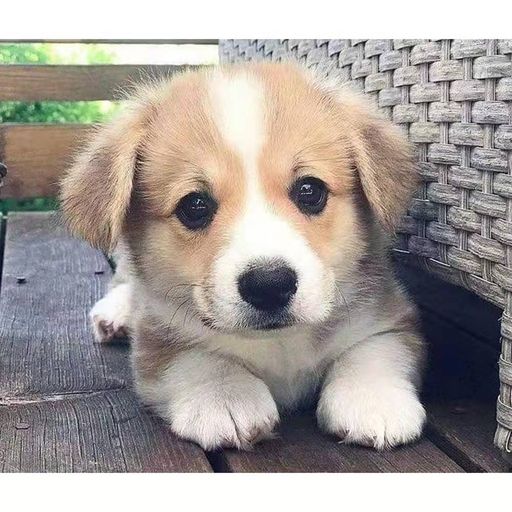 DJ'YE【Yakult Private Mix VVIP】《山頂黑毒蛇 - Steady Boom Bibi x K佬 - 山頂黑毒蛇 x 閩南狼 PYC - 中國老總》Mixtape 2x22