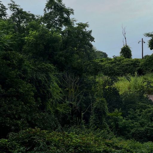 Creep Zone w/ James Pants & Marc Schaller - 4th July 2025