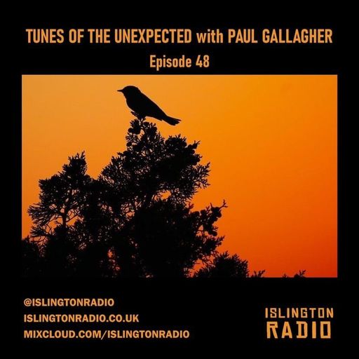 Tunes of the Unexpected with Paul Gallagher (04/11/2021)