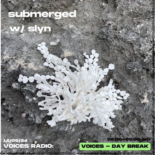 Submerged w/ slyn - 16/09/2024 - [Voices Radio]
