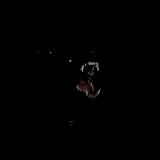 DAMAGE - CHOKEHOLD - 12th June 2024