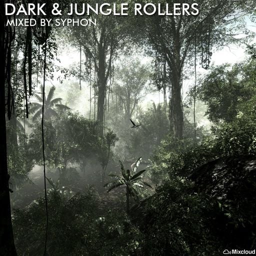 Dark & Jungle Rollers