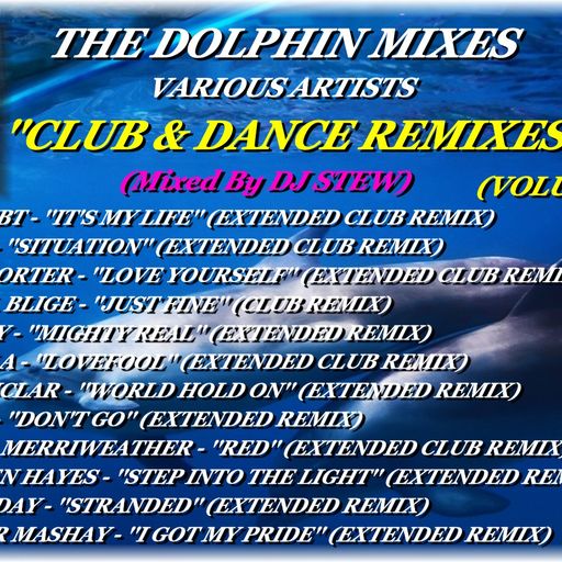 THE DOLPHIN MIXES - VARIOUS ARTISTS - ''CLUB & DANCE REMIXES'' (VOLUME 25)