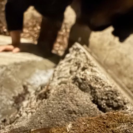 Sunday Song With Your Friends Taraneh and Alley (09.28.2025)