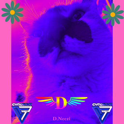Cyndicut Favourites 2024 Q3 - all music no talking!
