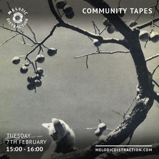 Community Tapes (February '23)