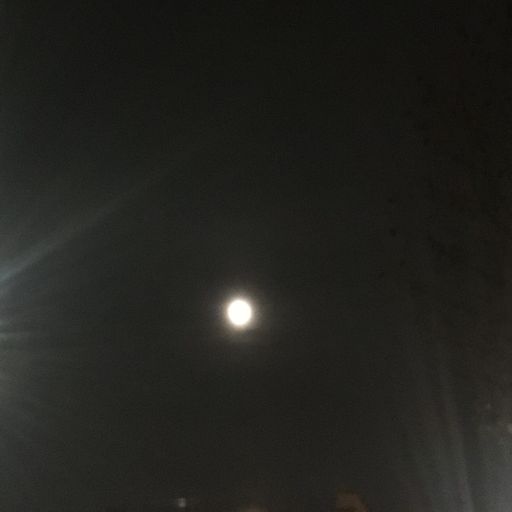 Emma-Jean Thackray: Super Blood Wolf Moon // 23-01-2019