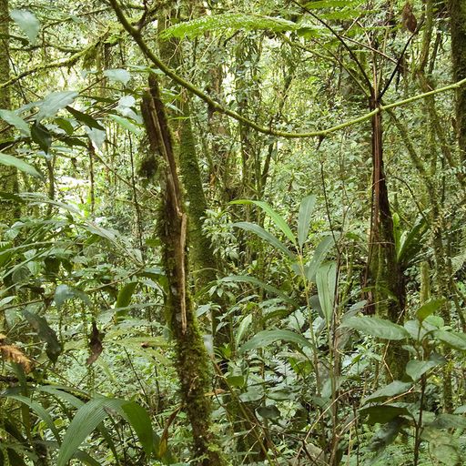 Kenyon Sound - 25/09/22