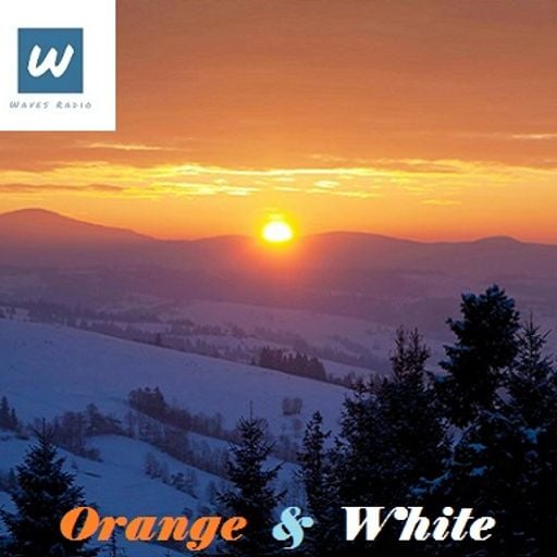 ARIS M.G.T. for Waves Radio #91