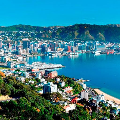 New Zealand Music Show 16/12