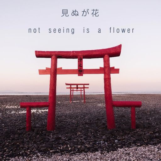 Not seeing is a flower