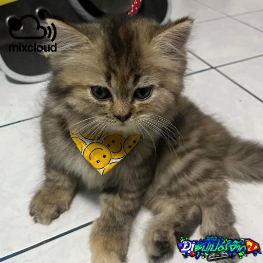 ลับหลังเมียเหี้ยตลอด แฮปปี้เบิร์ดเดย์สก็อต พังหมอ Byนู๋ชินจัง