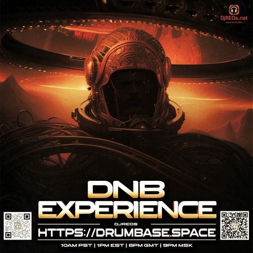 dnb experience 08/07/2023