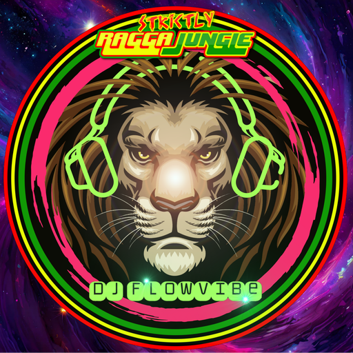 DJ FlowVibe - SRJ radio live - Feb24/2024