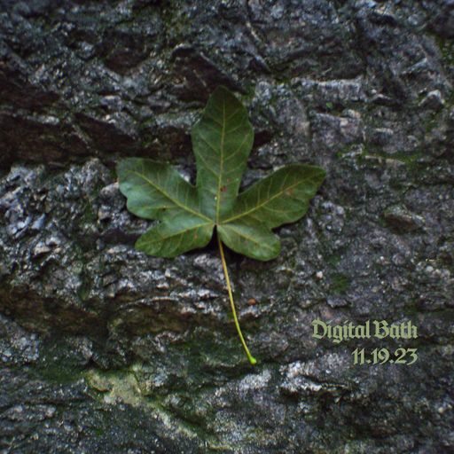 digital bath w/ ollie (11.19.2023)