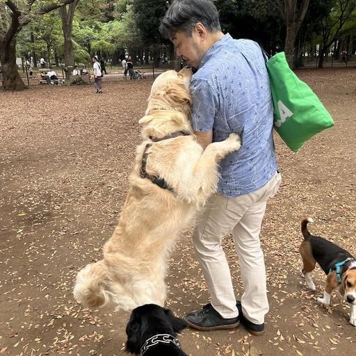 Yuji Nomi  - 20th April 2025