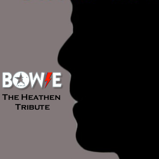 Bowie Heathen 20th Revisited