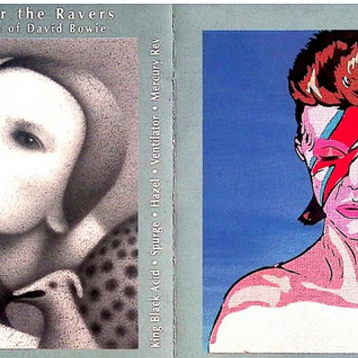Various Artists A Bowie Tribute. Crash Course For Ravers