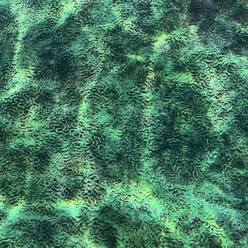 trip sit w/ tjon-aloi - 27th December 2025