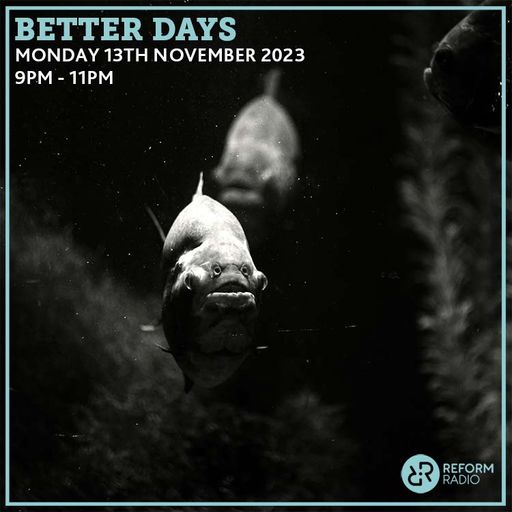 Better Days 13th November 2023