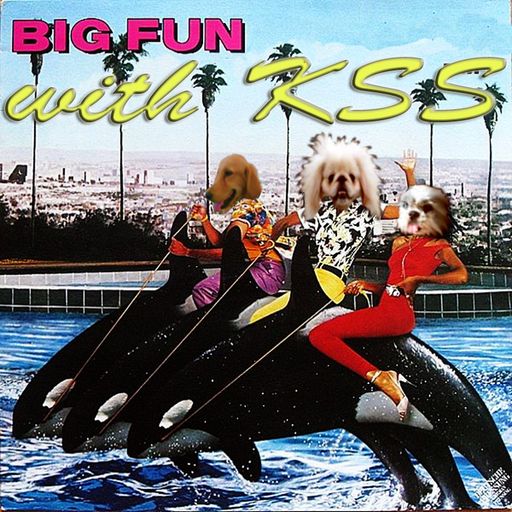 Big Fun with KSS - Tributes Version 5