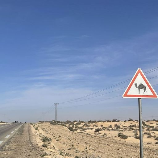 Shakshouka w/ Cheb Mimo - 18th February 2026