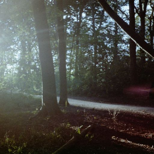 Open Hand Real Flames - Mouth Organ Special  - 19th November 2025