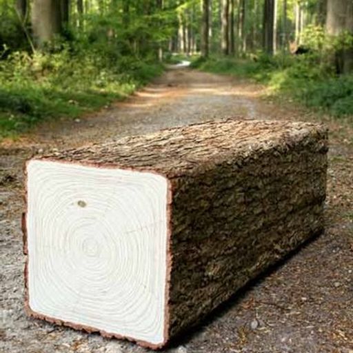 Das Poutre