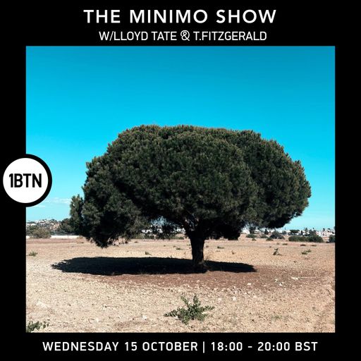 The Minimo Show w/ Lloyd Tate @ T.Fitzgerald - 15.10.25