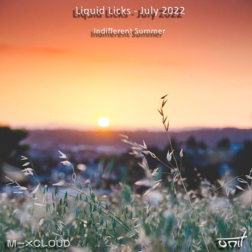 Liquid Licks - July 2022