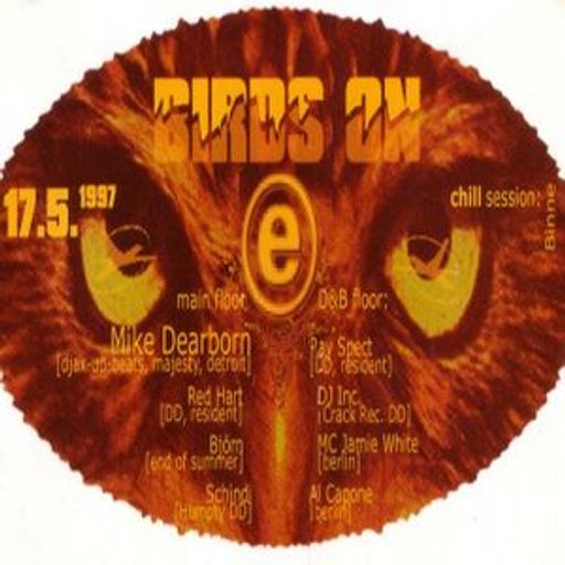 Mike Dearborn at "Birds On E" @ Flugzeugwerft (Dresden - Germany) - 17 May 1997
