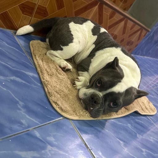 จริงใจ แต่ไม่จริงจัง