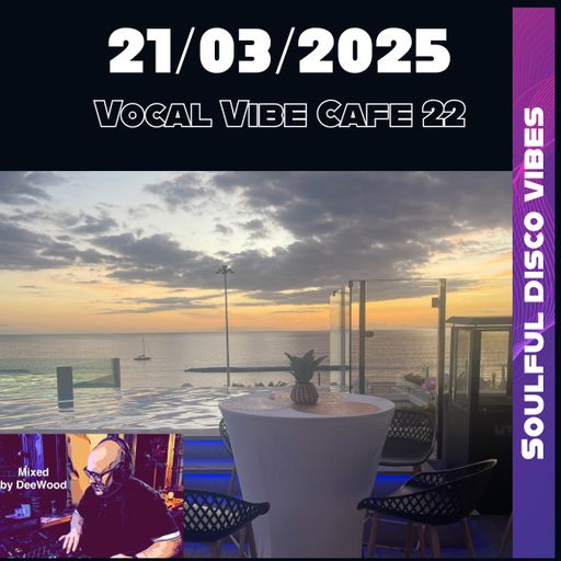 Vocal Vibe Cafe 22 (Soulful Disco Vibes)