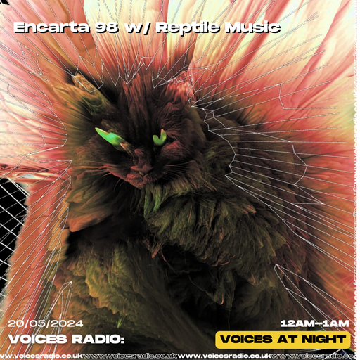 Encarta 98 w/ Reptile Music 19/05/24 - [Voices Radio]