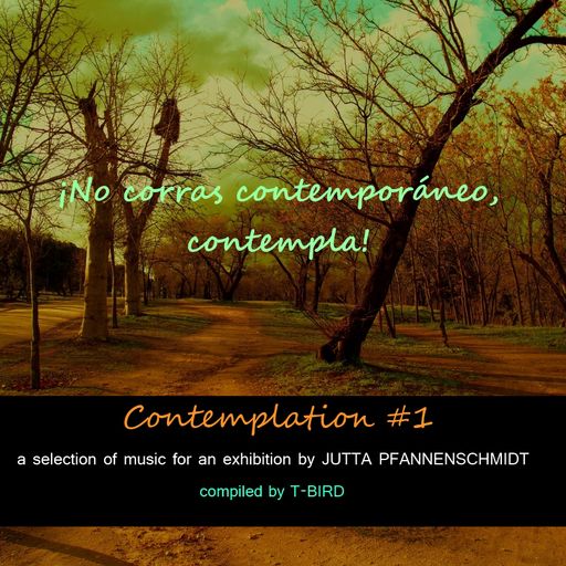 Contemplation #1