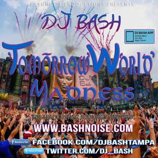 TomorrowWorld Madness