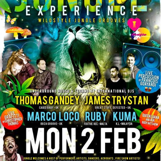 Jungle Experience feb 2015
