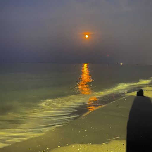 Moin - 17th June 2025